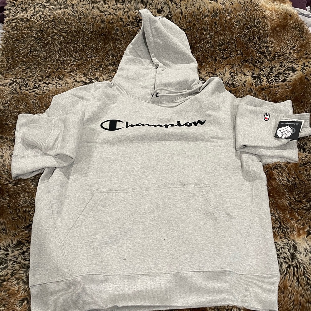 Champion Hoodie Mens